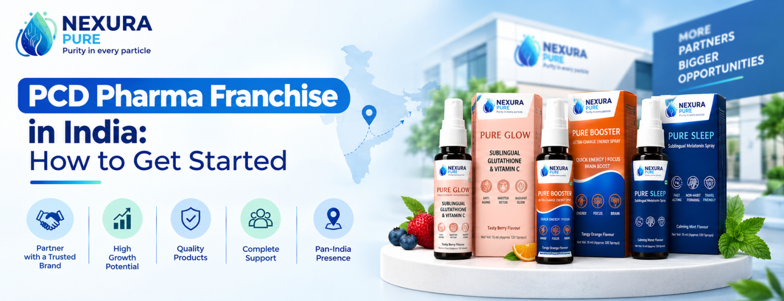 PCD Pharma Franchise in India: How to Get Started